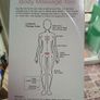 Gua Sha Body Massager Image 2