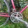 Vintage Peugeot Road Bike Image 2