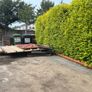 Garden shed dismantled Image 4