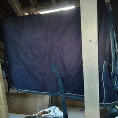 6'0 William Funnel Turnout Rug.Mediumweight