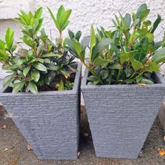 Slate Planter