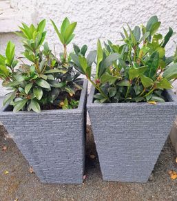 Planters