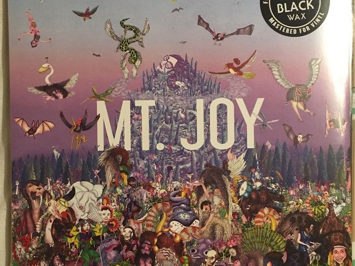 Mt. Joy - Rearrange Us