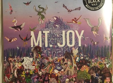 Mt. Joy - Rearrange Us
