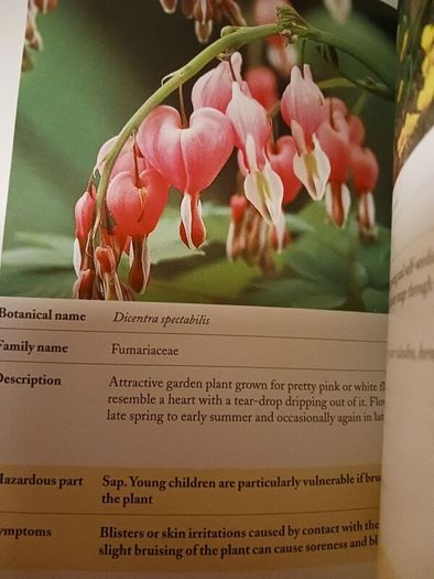 Plant ALERT / A Garden Guide for Parents / Catherine  Collins/ 2001