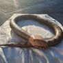 1970's  Indigenous Chilean 60 Inch Articulated Wooden Snake Image 2