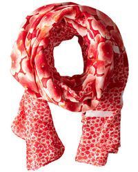marc jacobs pink flower scarf
