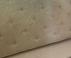 single bed