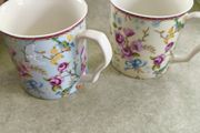 2  Mug Shannonbridge Pottery Ireland. Birds &amp; Blossoms,