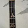 Paramount Style B Tenor banjo Image 4