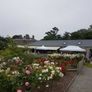 3x4.5m POP UP strong heavy GAZEBO ( 3 side included) Image 5