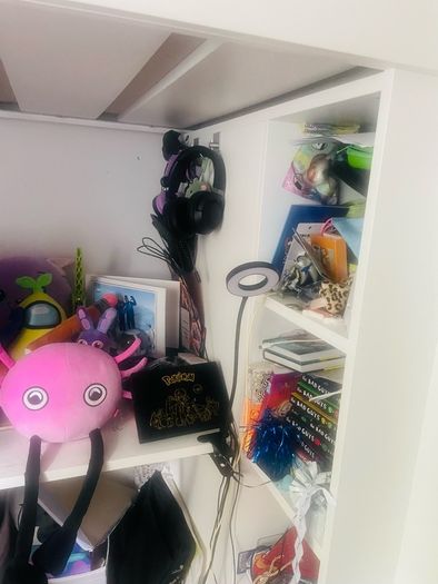 Ikea Loft Bed with desk and extra storage
