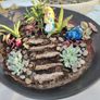 Terrarium Plate of Alice Adventures in Wonderland Image 5