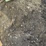 soil Image 2