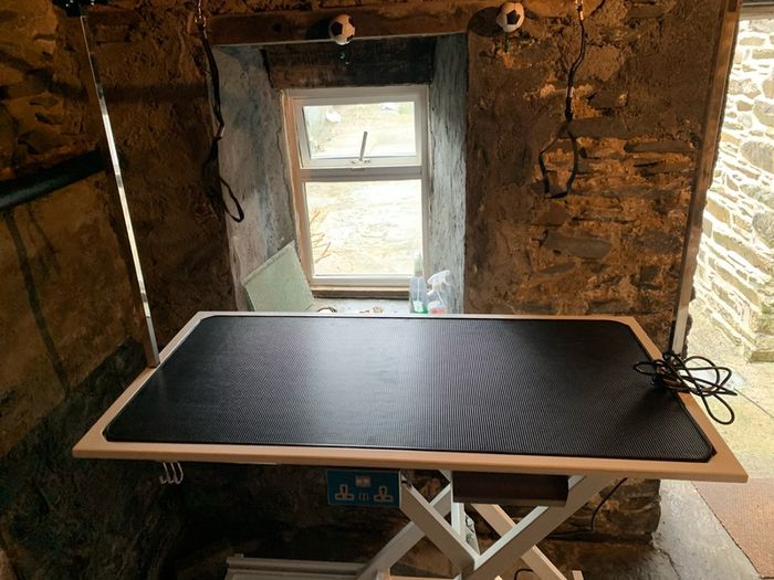 New electric lift Dog grooming table