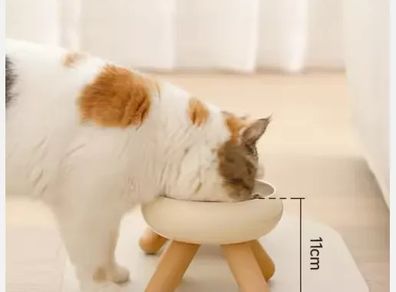 Elevated Cat Bowl