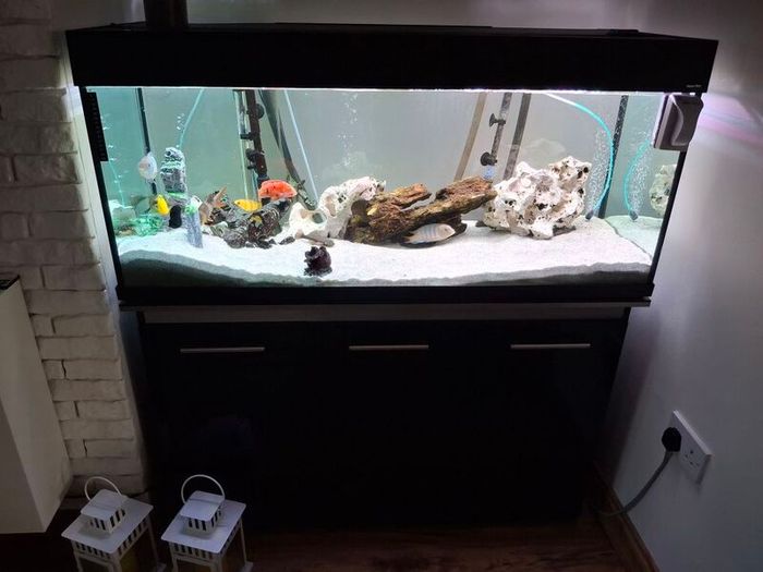 Fish Tank