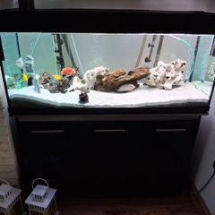 Fish Tank