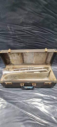 Trumpet cases