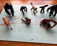 Schleich apes and monkeys