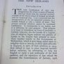 The New Ireland by J. B. Morton Fianna Fail 1937 constitution Irish Image 4