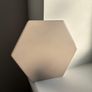 Hexagonal tiles Tonalite 12 boxes approx 6sq m Image 2