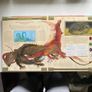 Dragonology:The complete book of Dragons Image 5