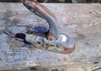 hitch for trailer