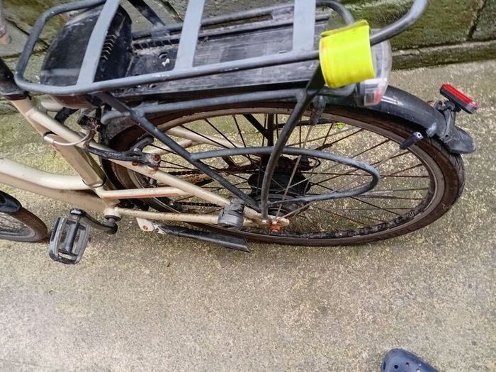 adults bike