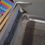 Free double bed Image 6
