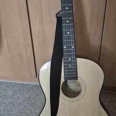 Acoustic guitar