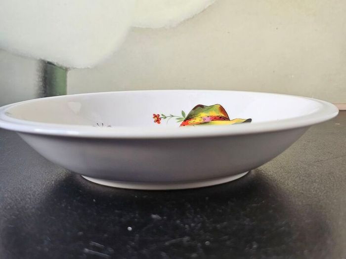 Vintage  Porcelain Child   Plate  Little Gardener