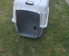 dog crate/carrier