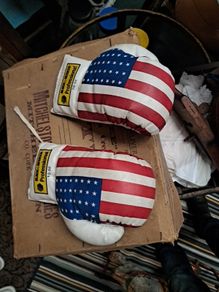 Vintage 10oz Boxing Gloves