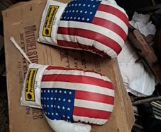 Vintage 10oz Boxing Gloves