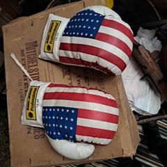 Vintage 10oz Boxing Gloves