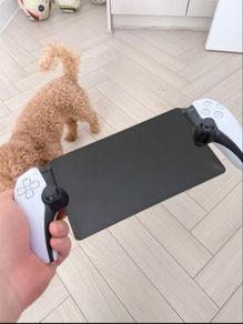 PS Portable