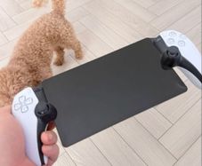 PS Portable