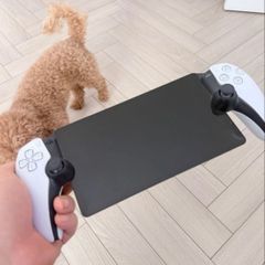 PS Portable