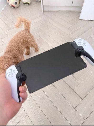 PS Portable