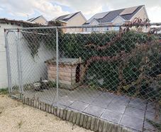 dog run