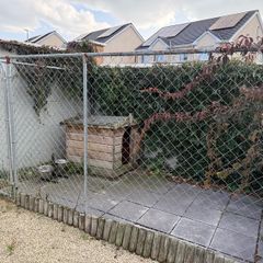 dog run
