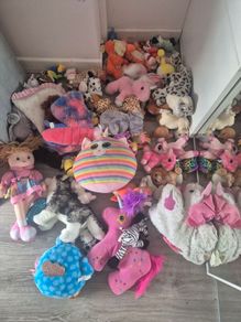 free teddys