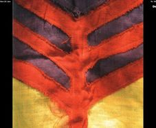 Yeah Yeah Yeahs - Show Your Bones      CD