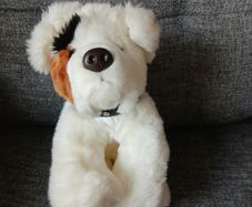Keel toys dog Soft toy