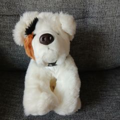 Keel toys dog Soft toy