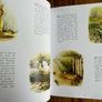 The Essential Beatrix Potter Storytime Collection hardback book Image 5