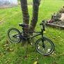 BMX - Spine X-rated 20" Image 2