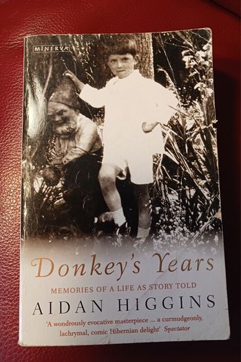 Aidan Higgins/ Donkey's Years / Autobiography/ 1996