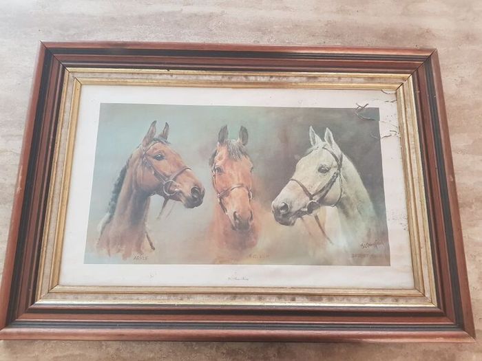 Racehorse Framed Picture